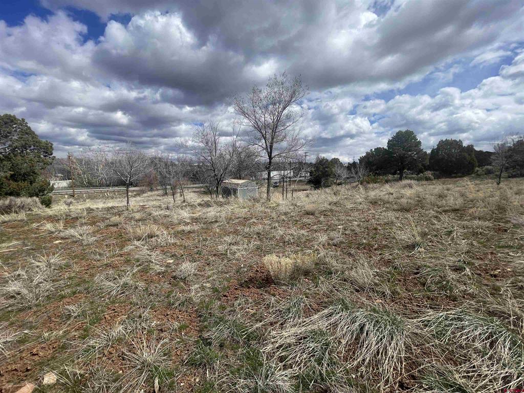 208 E Highway 491 Property Photo 28