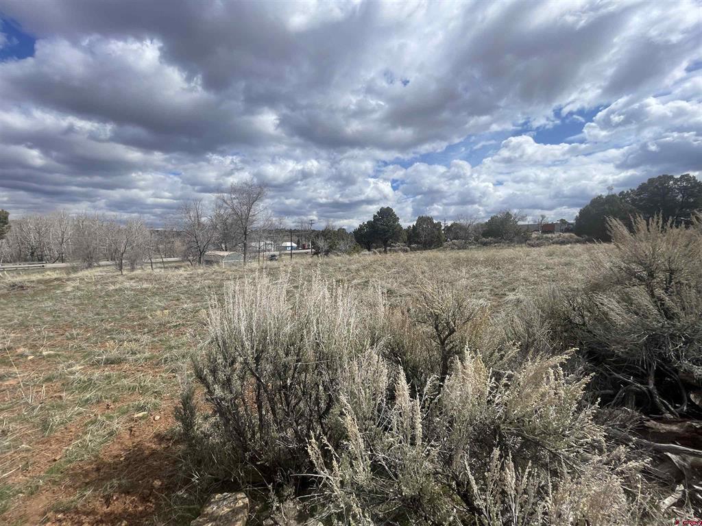 208 E Highway 491 Property Photo 29