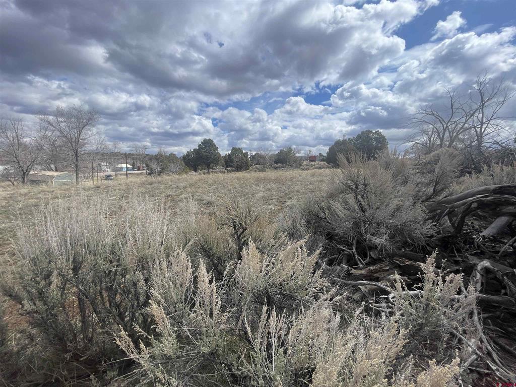 208 E Highway 491 Property Photo 30