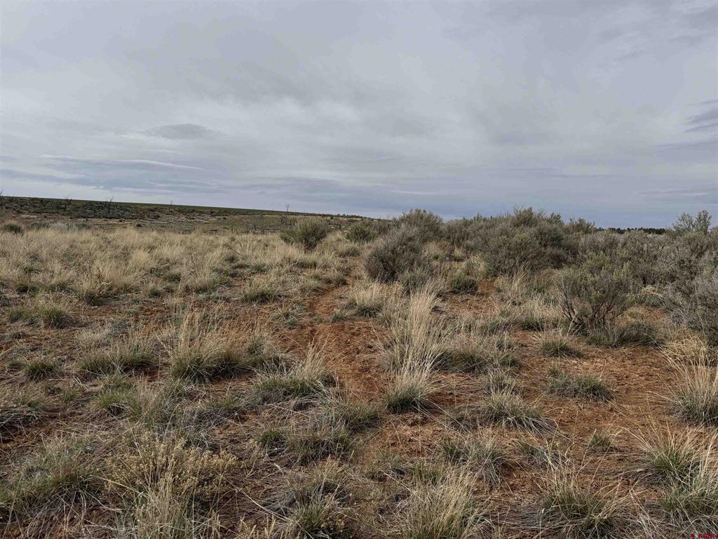 12040 Road N Property Photo 3