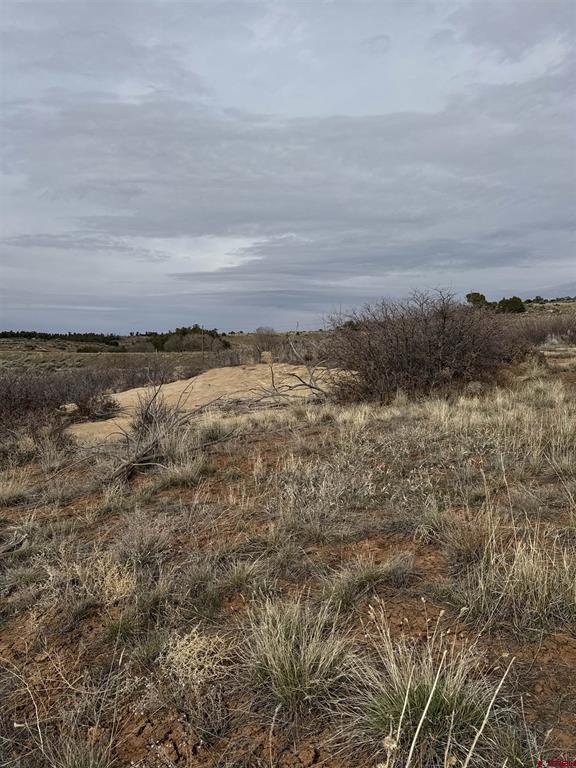 12040 Road N Property Photo 7
