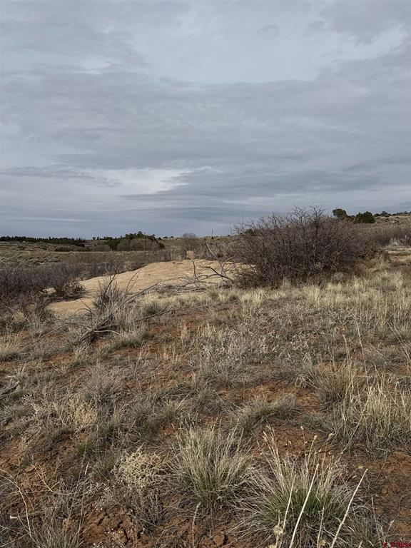 12040 Road N Property Photo 14