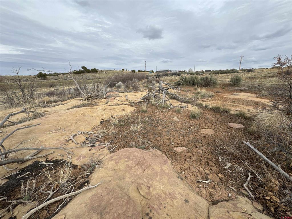 12040 Road N Property Photo 16