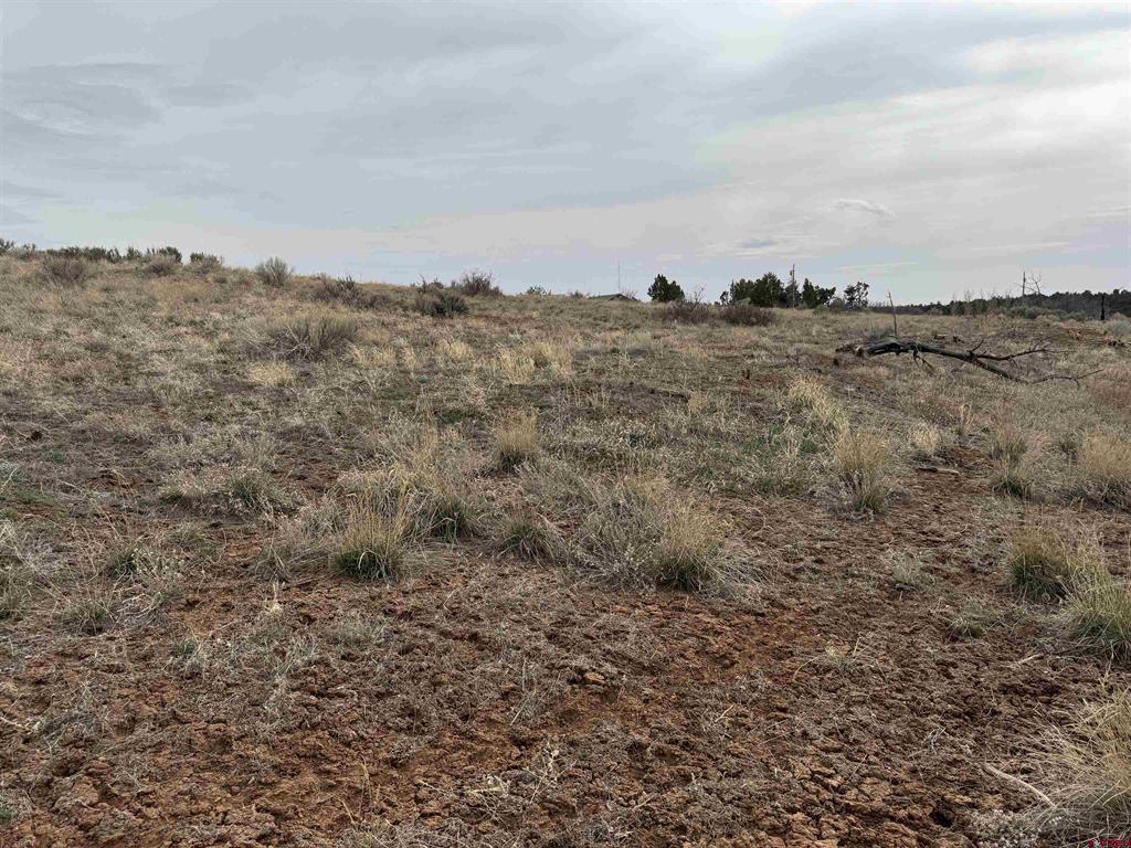 12040 Road N Property Photo 19