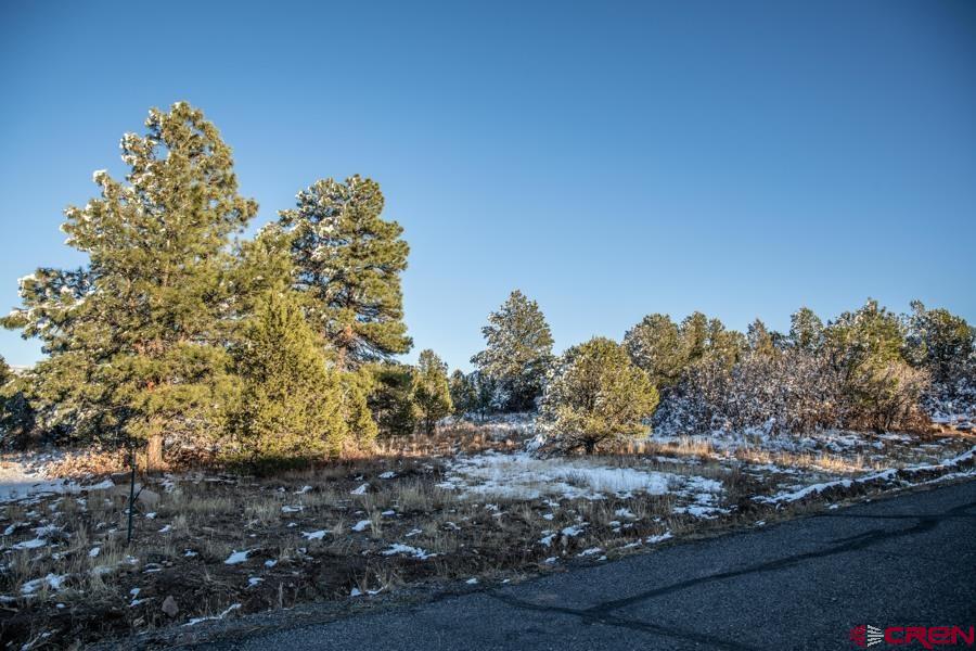 Tbd N Badger Trail Property Photo 1