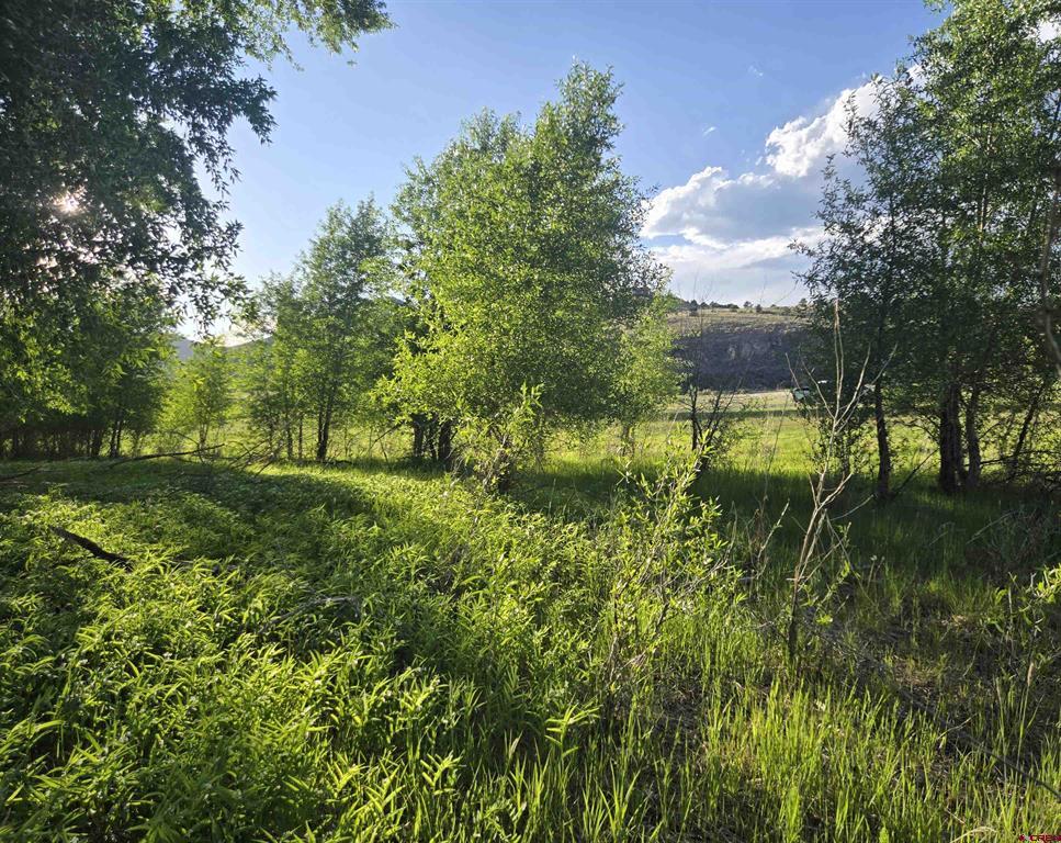 118 Caddis Circle