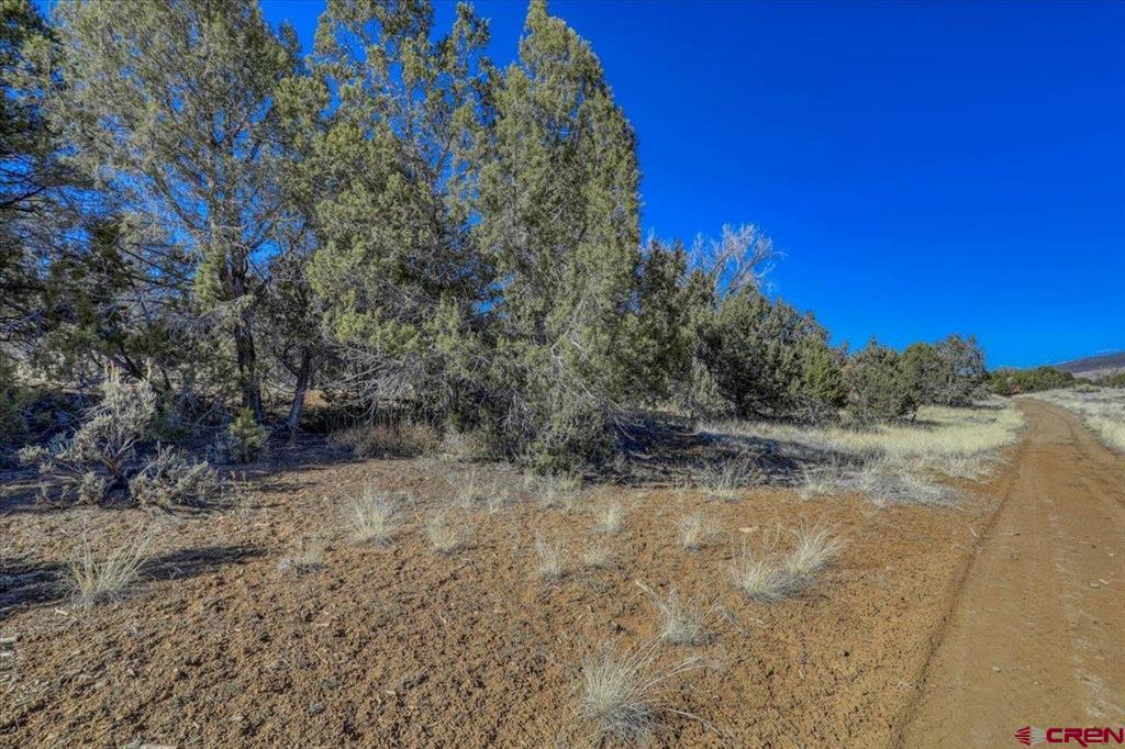 75 Piedra Parkway Property Photo 5