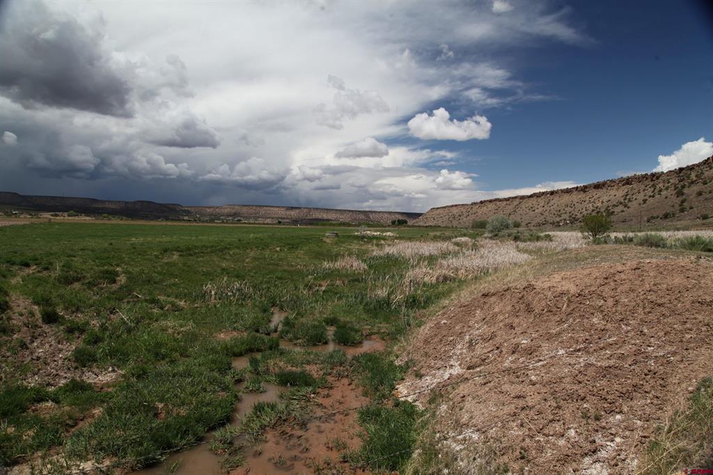 Tbd Red 1 Shavano Valley Road Property Photo 2
