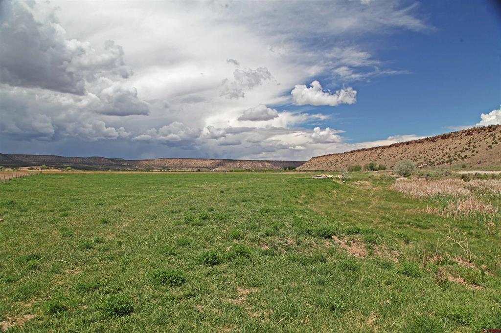 Tbd Red 1 Shavano Valley Road Property Photo 3