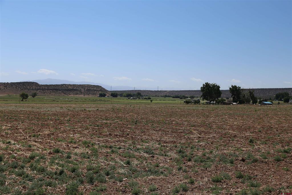 Tbd Red 1 Shavano Valley Road Property Photo 4