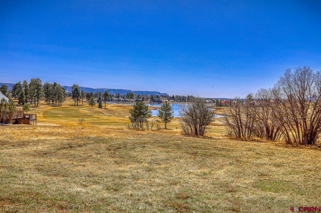 529 E Golf Property Photo 33
