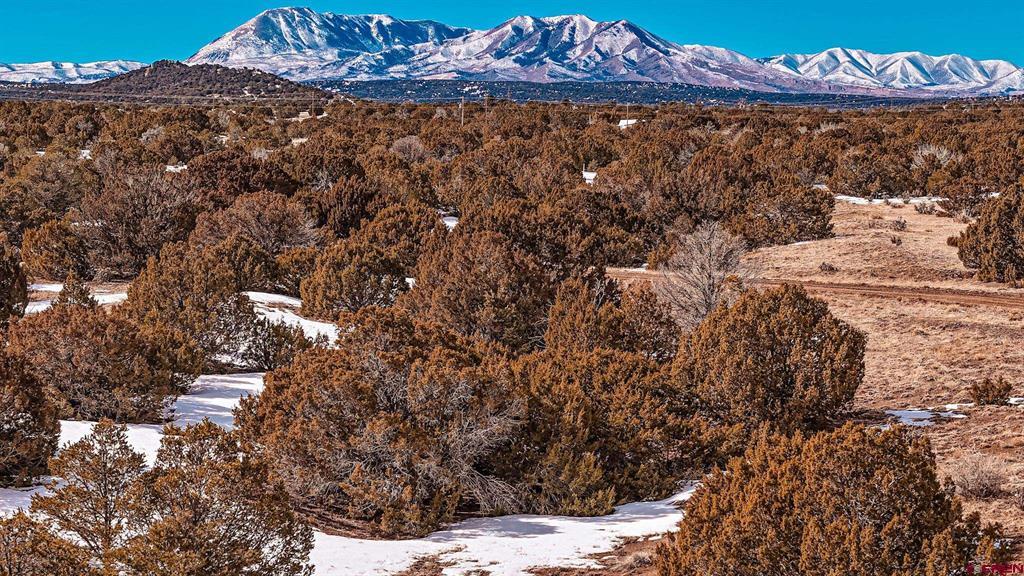 Tbd Lot 757 Tomita Verde Place Property Photo 11