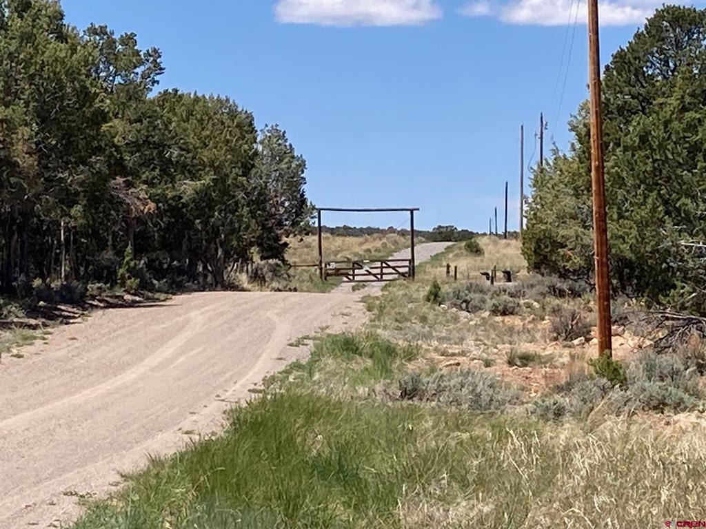 Lot 2 (tbd) County Road 22b Property Photo 4
