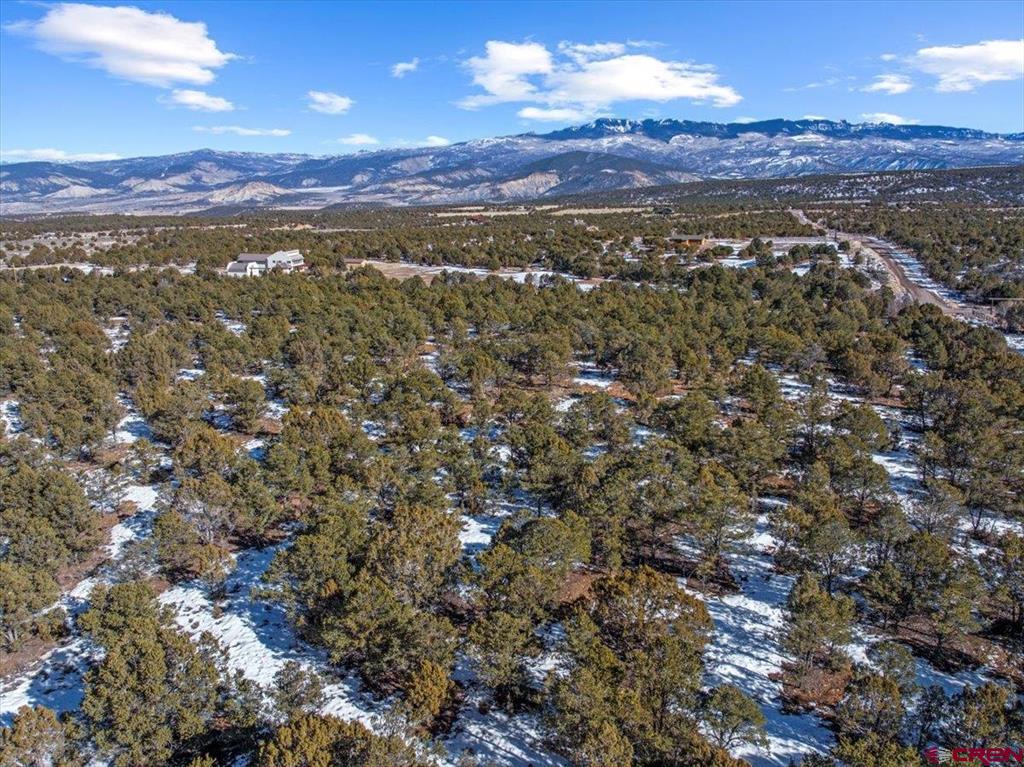 Lot 2 (tbd) County Road 22b Property Photo 6