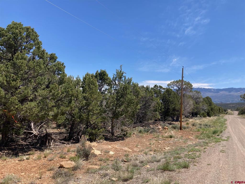 Lot 2 (tbd) County Road 22b Property Photo 7