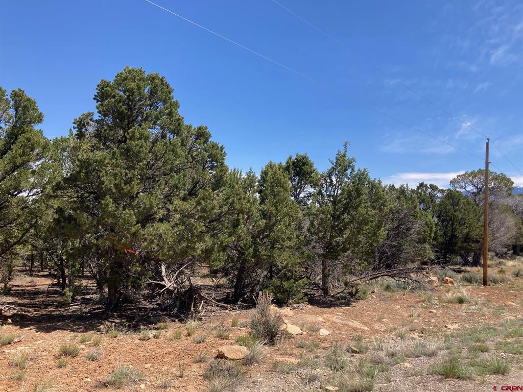 Lot 2 (tbd) County Road 22b Property Photo 8