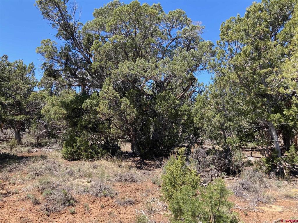 Lot 2 (tbd) County Road 22b Property Photo 13