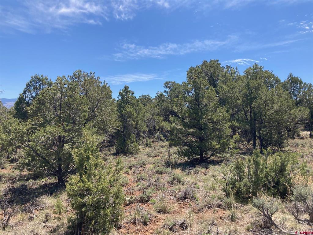 Lot 2 (tbd) County Road 22b Property Photo 14