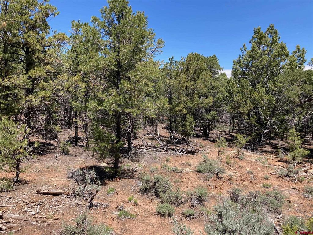 Lot 2 (tbd) County Road 22b Property Photo 15