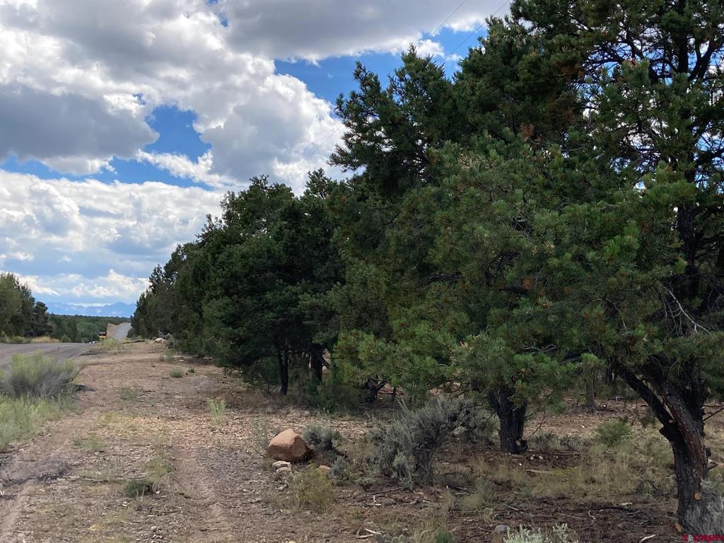 Lot 5 (tbd) County Road 22 Property Photo 4