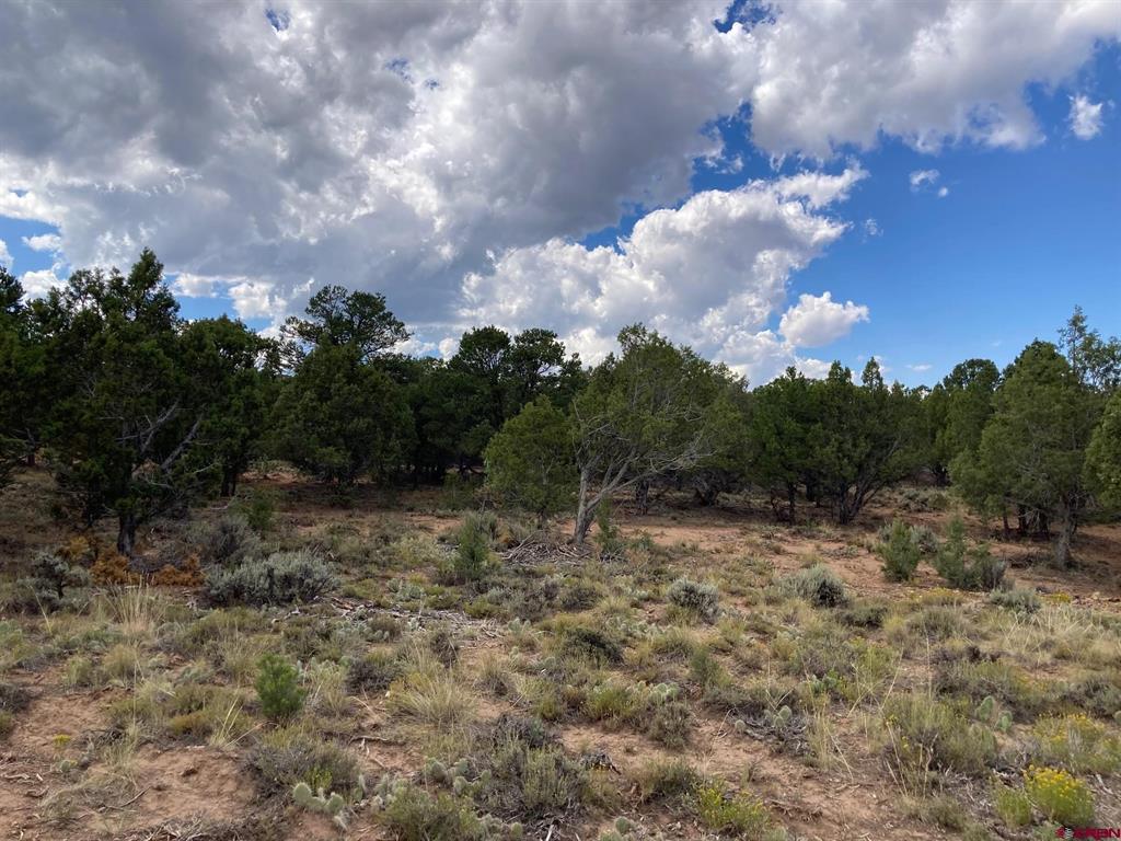 Lot 5 (tbd) County Road 22 Property Photo 5