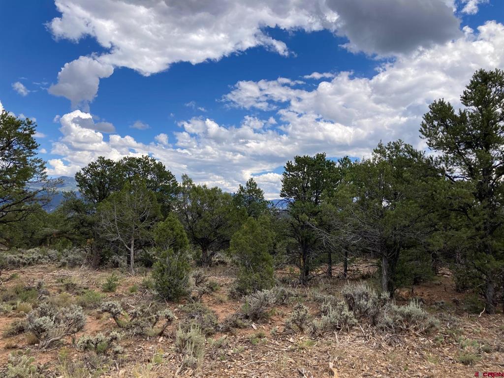 Lot 5 (tbd) County Road 22 Property Photo 8