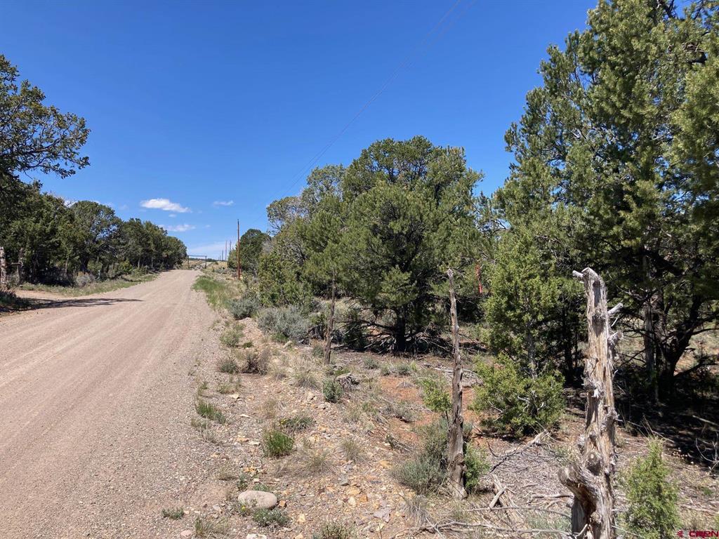 Lot 3 (tbd) County Road 22b Property Photo 5