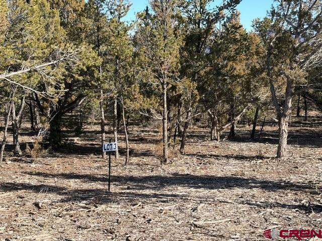 Lot 3 (tbd) County Road 22b Property Photo 6
