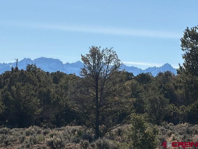 Lot 3 (tbd) County Road 22b Property Photo 19