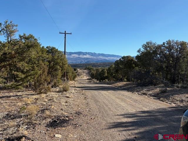 Lot 3 (tbd) County Road 22b Property Photo 24