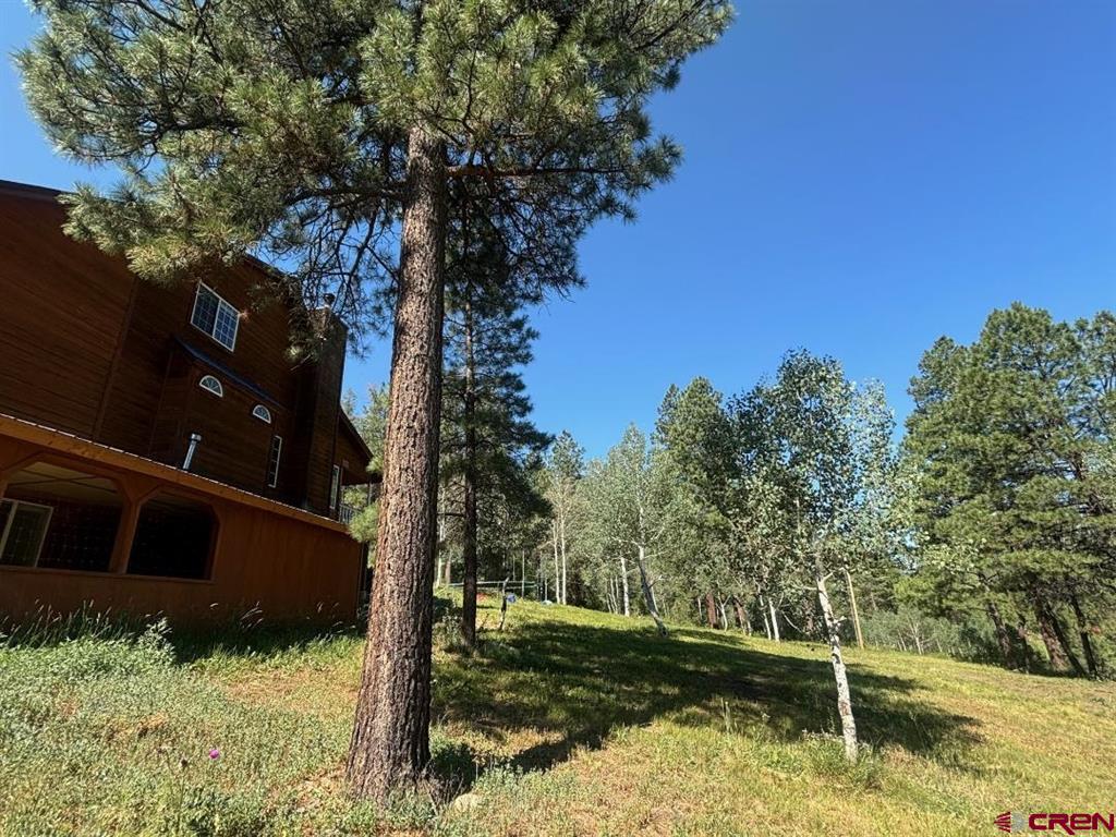 2237 Bear Creek Canyon Road Property Photo 21
