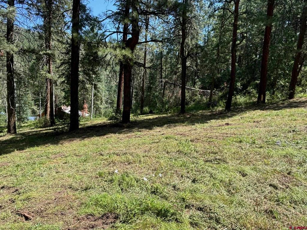 2237 Bear Creek Canyon Road Property Photo 23