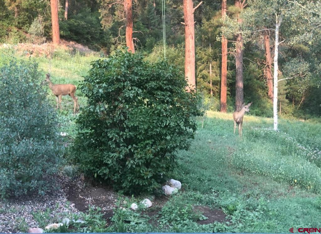 2237 Bear Creek Canyon Road Property Photo 30