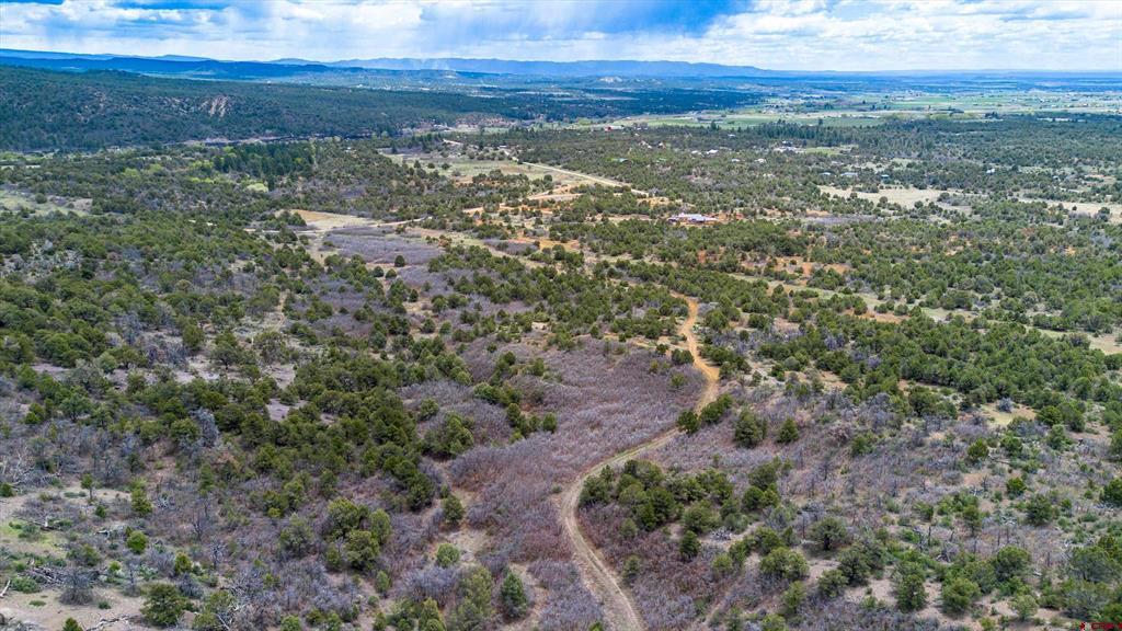 TBD Wild Turkey Canyon