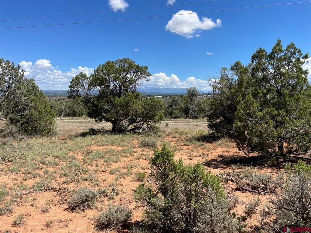 Hartman Heights Real Estate Listings Main Image