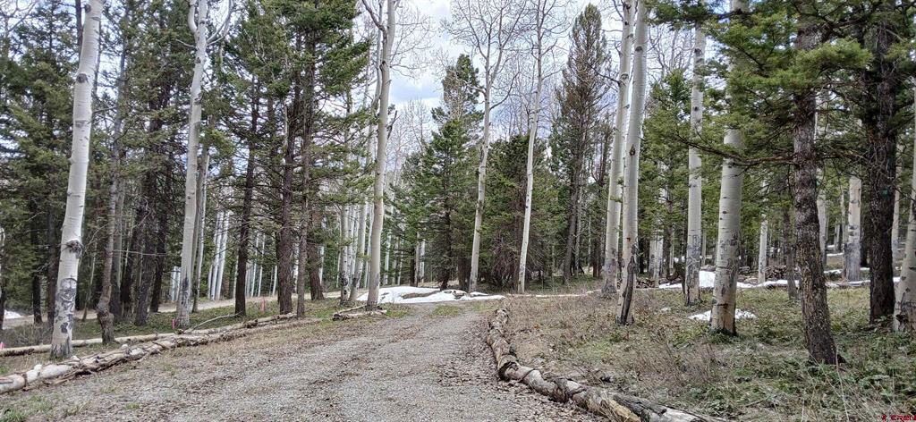 561 Crest Drive Property Photo