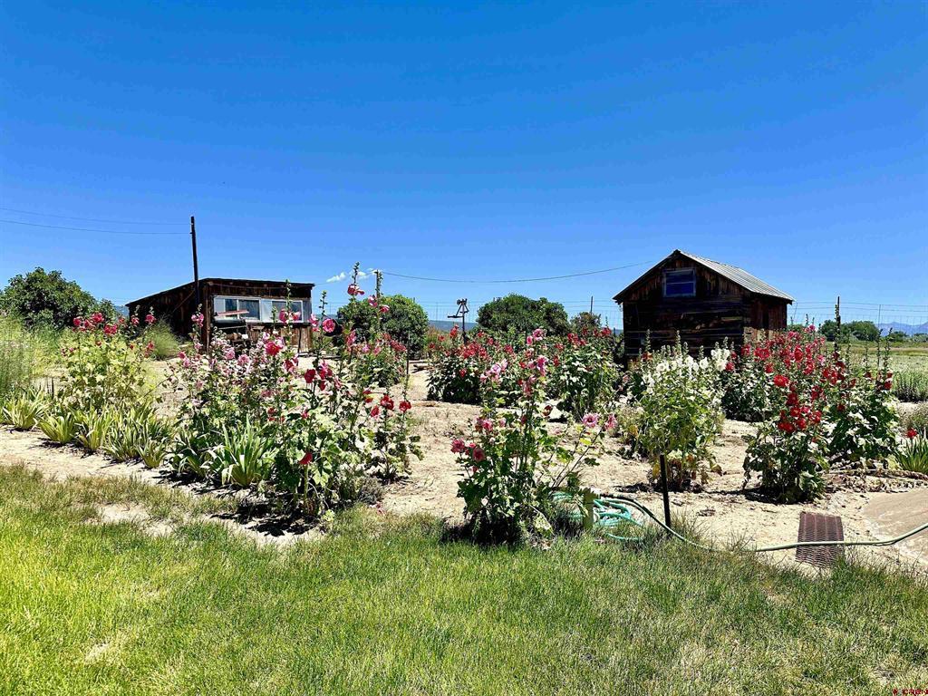 25593 North Road Property Photo 7
