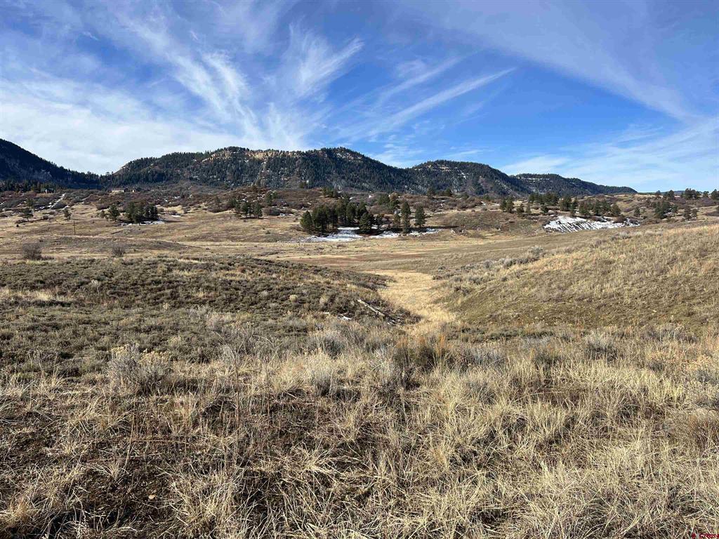 213 Spring Creek Circle Property Photo