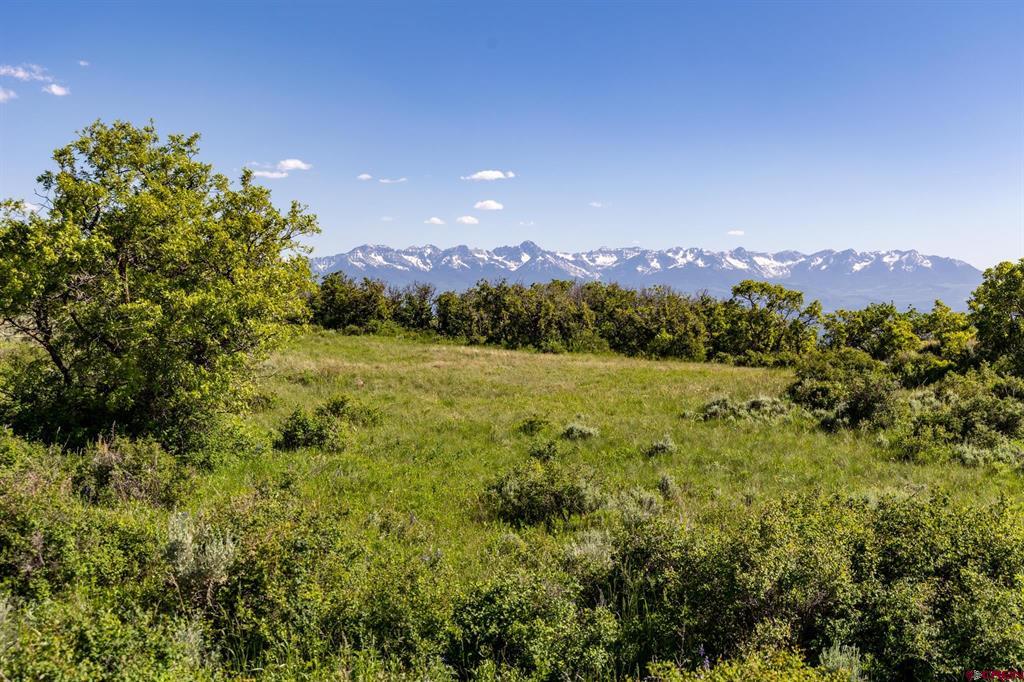 Tbd Wapiti Trail Property Photo
