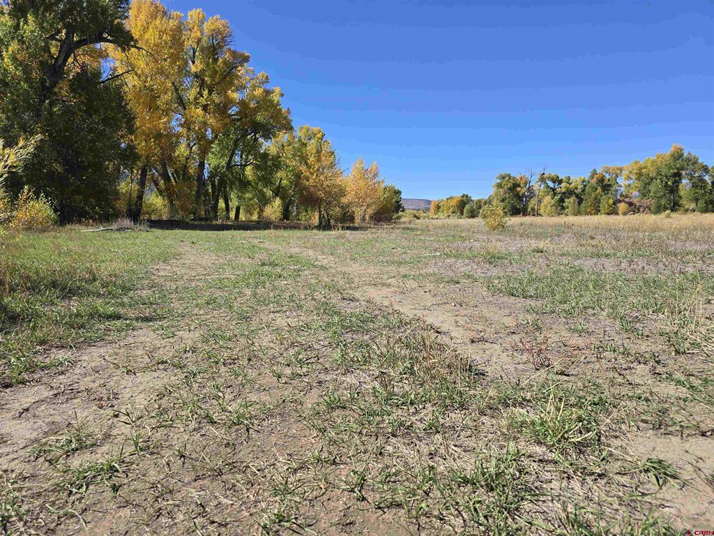 1862 River Island Drive Property Photo 6