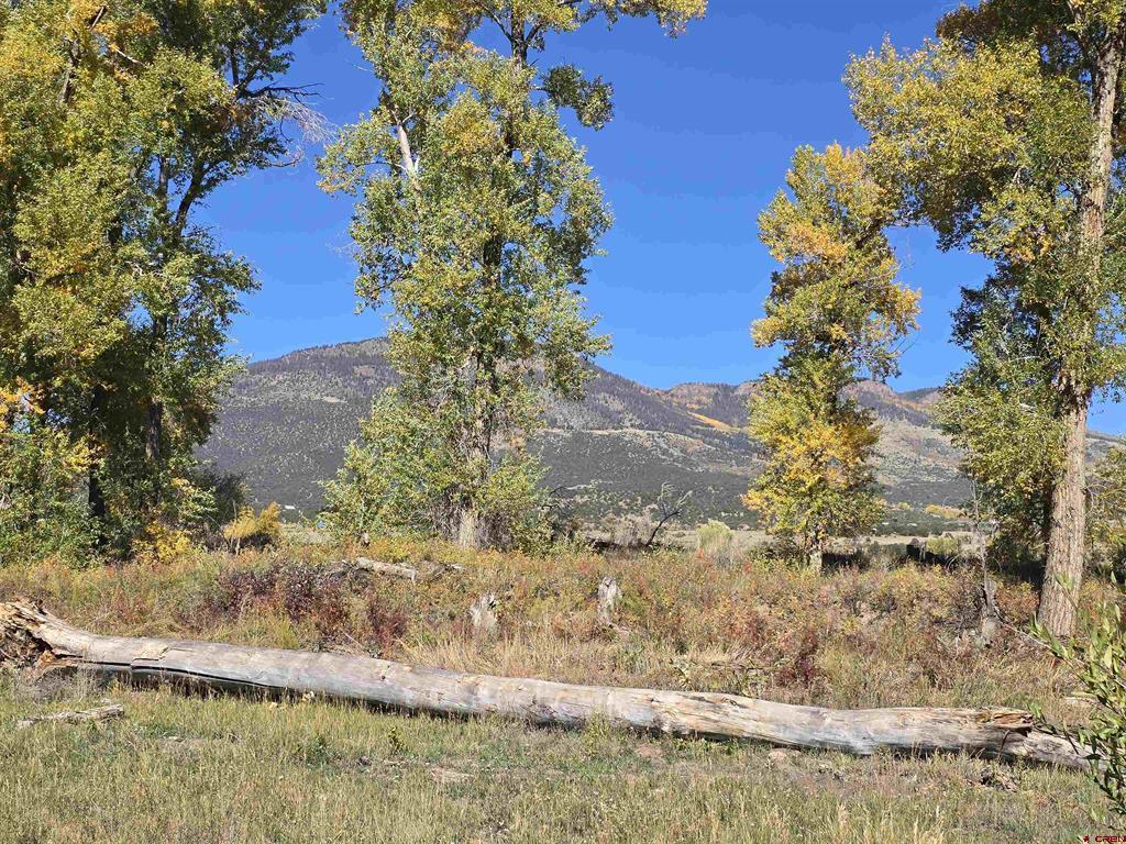1862 River Island Drive Property Photo 8