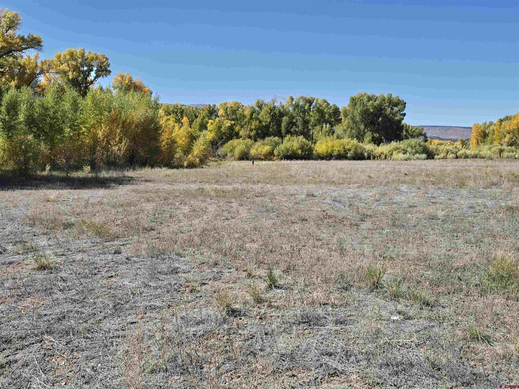 1862 River Island Drive Property Photo 20