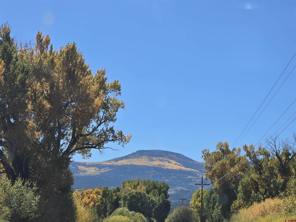 1862 River Island Drive Property Photo 21