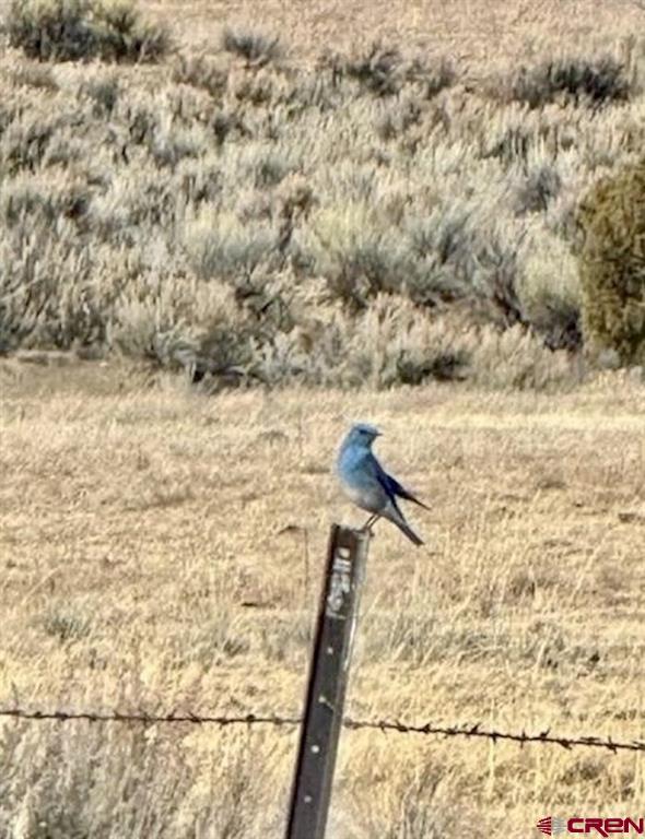 Rio Arriba County Real Estate Listings Main Image