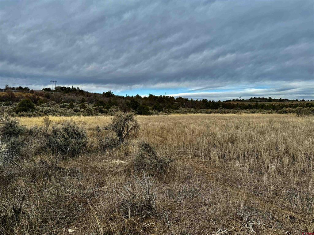 000 T5 Road Property Photo