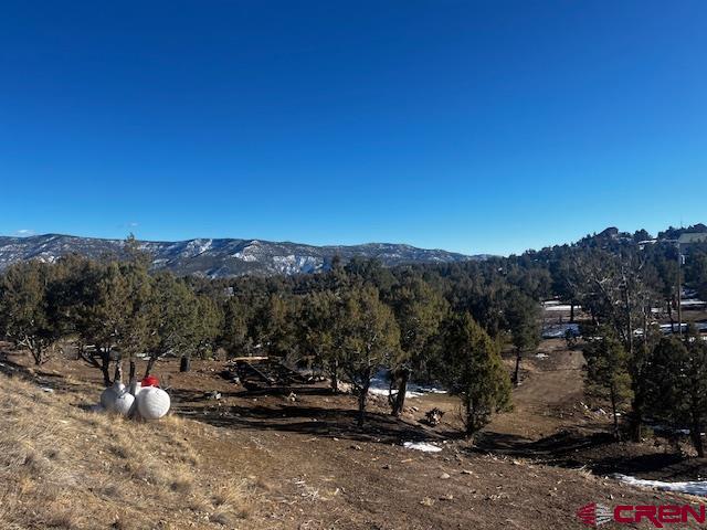 132 White Tail Place Property Photo
