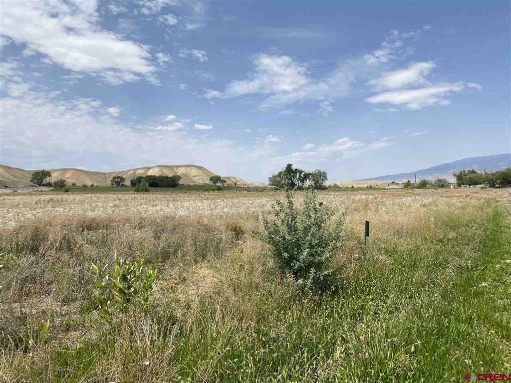 Stirrup Creek Real Estate Listings Main Image