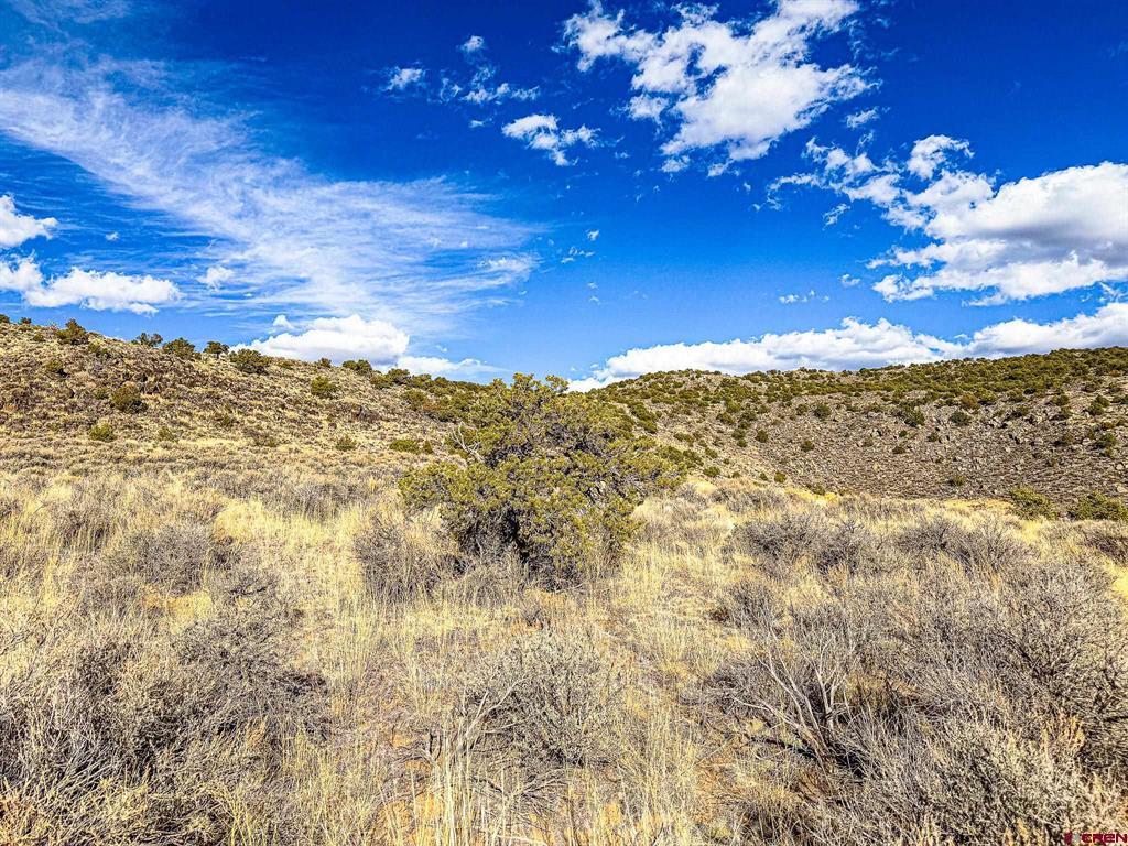 0 Calvary Trail Property Photo