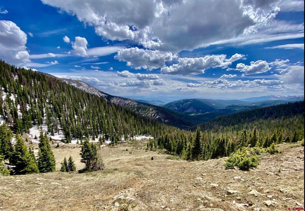 1800 Forest Service 765-3c Road Property Photo