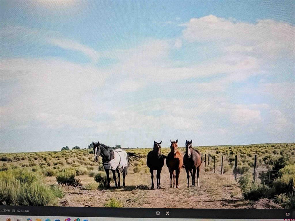 16073 Co Rd 55 Road Property Photo 1